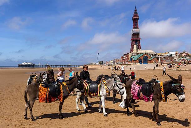 The Cosy Nook Bed and Breakfast Blackpool Eksteriør billede